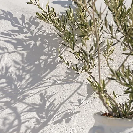 Kalderimi Residencies Astypalaia
