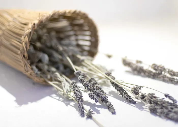 Aparthotel Kalderimi Residencies 3*