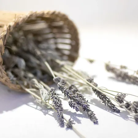 アパートホテル Kalderimi Residencies 3*