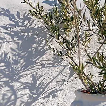 Kalderimi Residencies