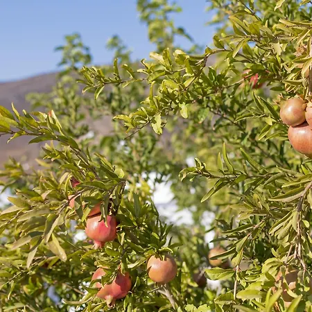 Kalderimi Residencies アパートホテル 3*