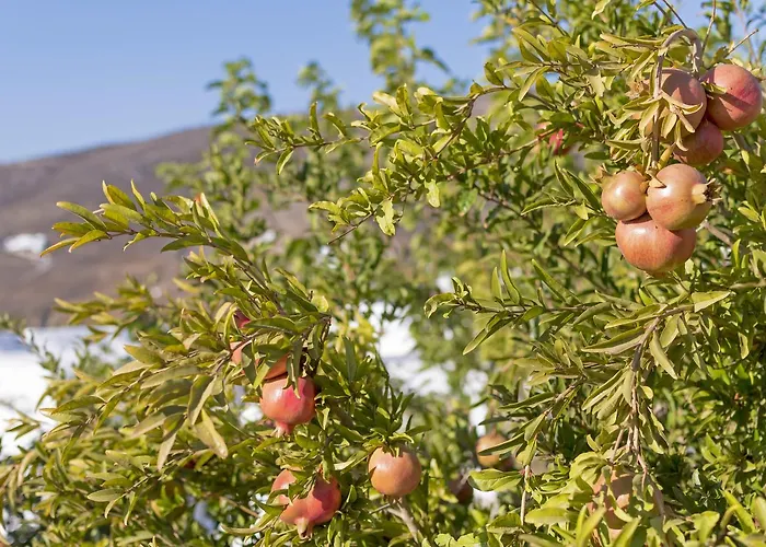 Kalderimi Residencies شقة فندقية 3*